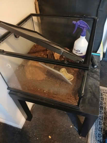 Photo of free Vivarium (Potters bar herts EN6) #1