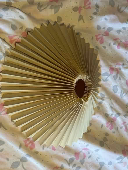 Photo of free Lampshade (Jennetts park RG12) #3