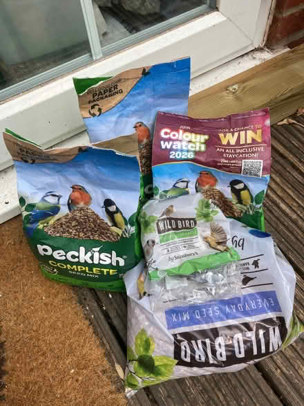 Photo of free Bird Food (St. Dunstan's CT2) #1
