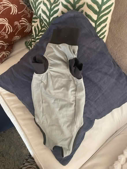 Photo of free Body Suit for Dogs & Cats (Clapton E5) #1