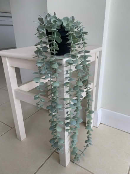 Photo of free IKEA Artificial House Plant (Tilehurst RG31) #1
