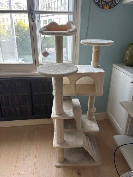 Photo of free Cat castle (Maitland Court W2) #1