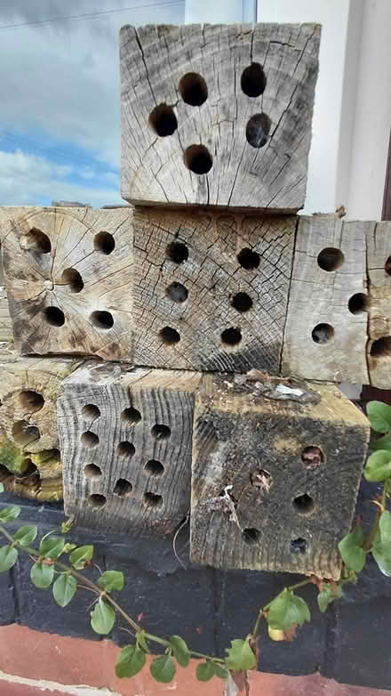 Photo of free Bug hotel (Sheffield S12) #2