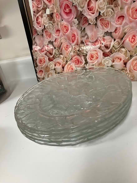 Photo of free Plates (Britannia/Terry Fox) #2