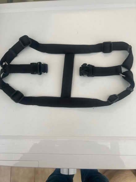 Photo of free 3 x Dog harnesses (Harrogate HG1) #3