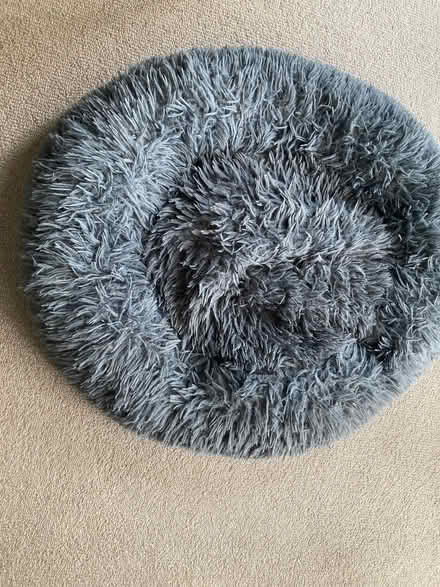 Photo of free Fluffy circular day bed for a medium sized dog (Greenhill DY10) #1