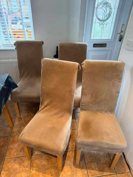 Photo of free Dining room chairs (Stroud GL5) #1