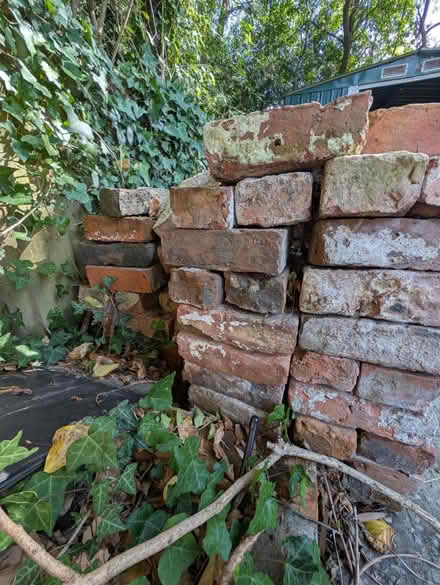 Photo of free Reclaimed bricks (Levenshulme M19) #4