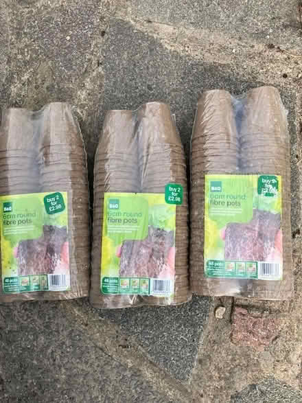 Photo of free Fibre pots 6cm (Caversham) #1