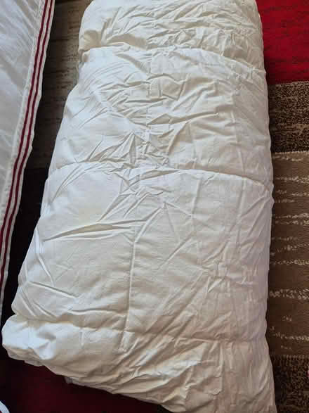 Photo of free Duvet (Worcester WR3) #1