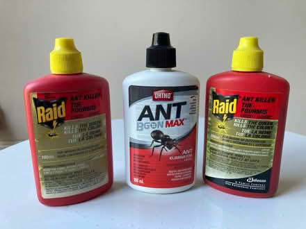 Photo of free Raid Ant Killer (Somerset/Bayswater) #1