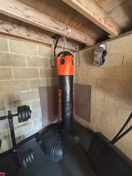 Photo of free Punch bag and gloves (Boscombe BH5) #1
