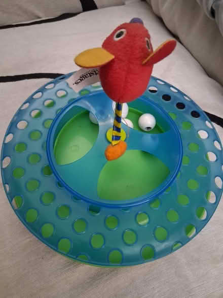 Photo of free Cat Toy (West Harlem, near Harlem Hosp) #3