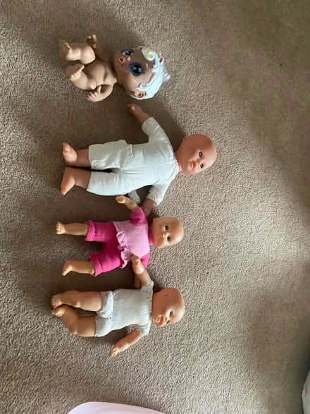 Photo of free Various Baby Dolls (East Twerton BA2) #3