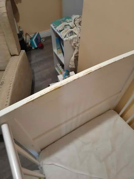 Photo of free Crib (Glenavy BT29) #2