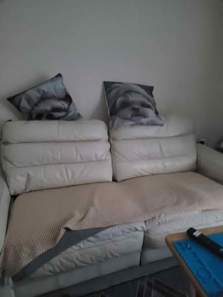 Photo of free Leather Sofa (Saint George's CO2) #1