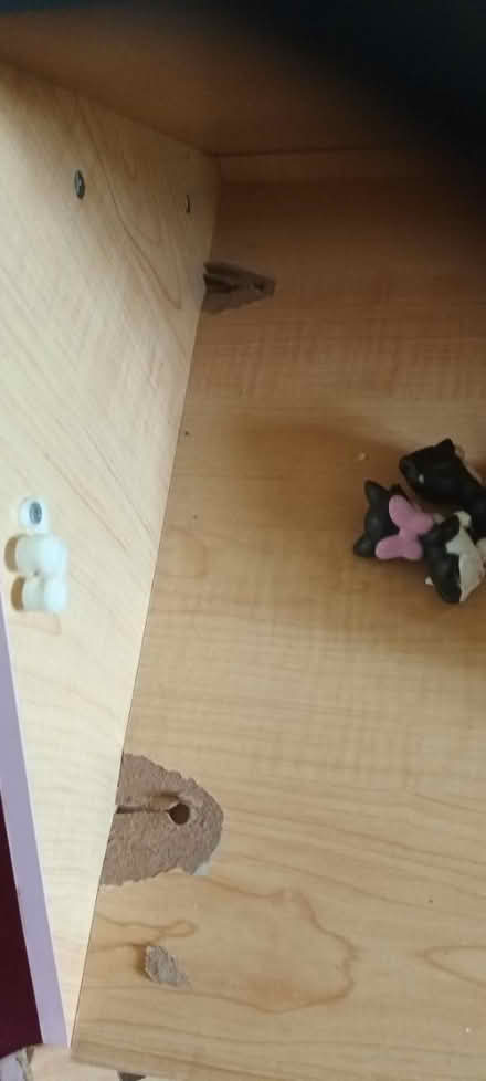 Photo of free Wooden dolls house (Derby de73) #3