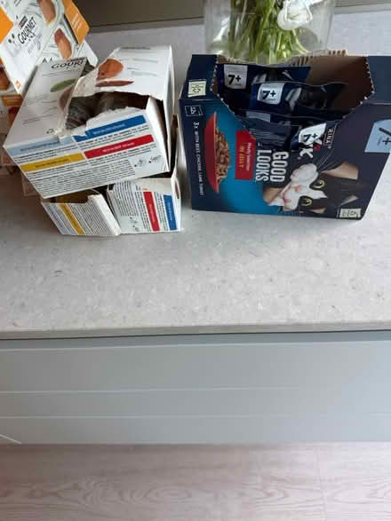 Photo of free Cat food all in date (Windsor SL4) #4