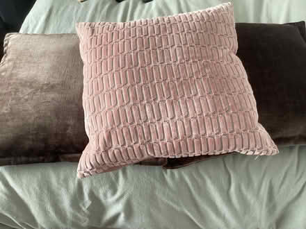 Photo of free Cushions x3 (South Shields NE34) #1