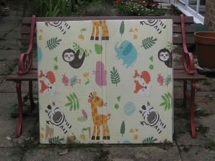 Photo of free Wipe-clean Play Mats (Springfield, Chelmsford, CM1) #1