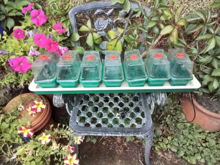 Photo of free Window sill propagator (East Farleigh ME15) #1