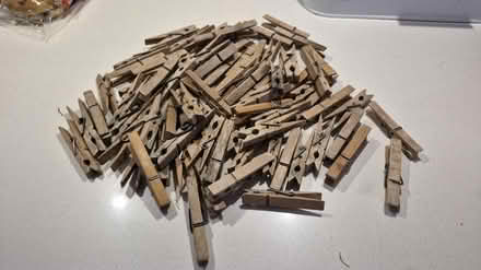 Photo of free Wooden Clothes Pegs (Garston WD25) #1