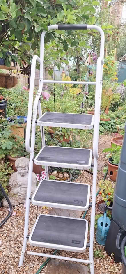 Photo of free Step ladder (Crewkerne) #1