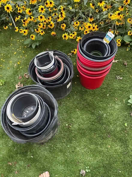 Photo of free Nursery flower pots (New Market) #1
