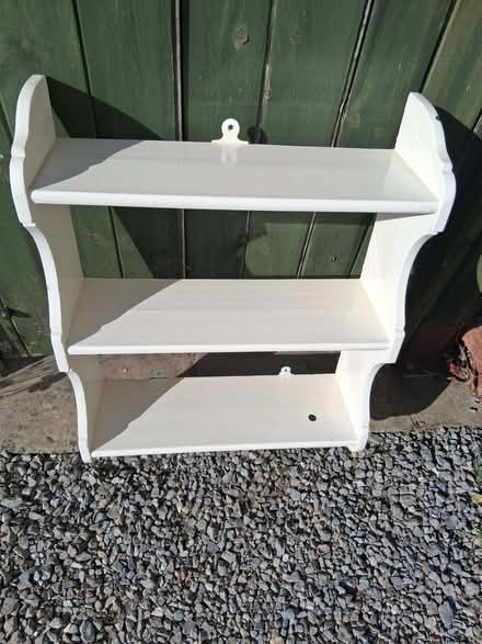 Photo of free shelving (Waddon TQ13) #1