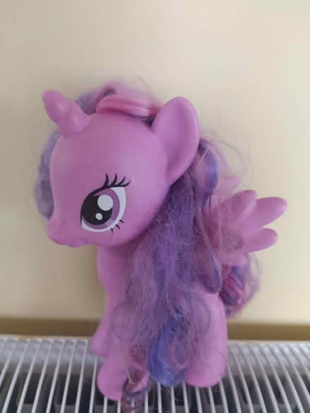 Photo of free My little pony,Twilight Sparkle (Norton Lees, S8) #1