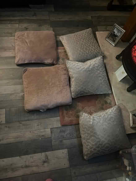 Photo of free 5 cushions (Broomfield CM1) #1