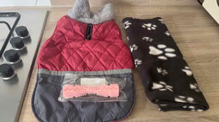 Photo of free Dog jacket, toy and blanket (TN27, Headcorn) #1