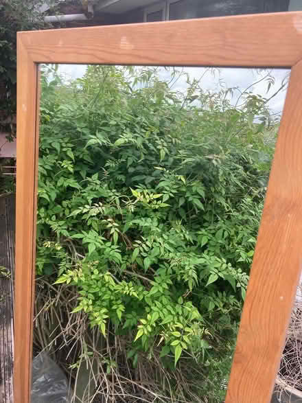 Photo of free Free standing mirror (Willingdon BN22) #2