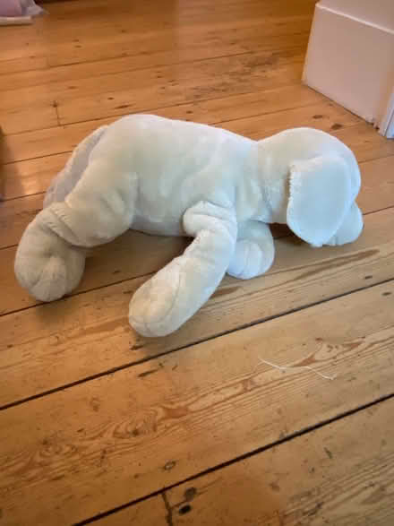 Photo of free Toy Labrador puppy soft toy (Epsom KT18) #2