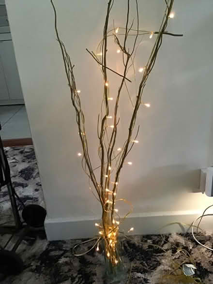 Photo of free Twig lights (Dublin 16) #1