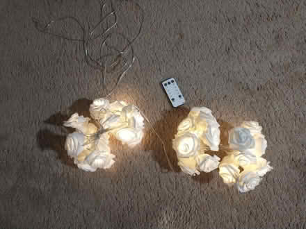 Photo of free Flower string lights (Meriden off Curtis st) #1