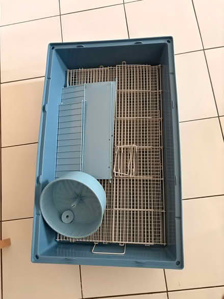 Photo of free Mouse/rat cage (Hull) #2