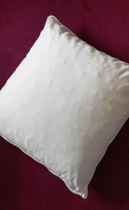 Photo of free Floor cushion (Polegate BN26) #1