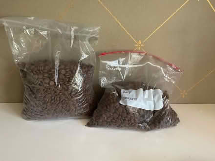 Photo of free Diamond Salmon Dog Food (Larkspur) #1