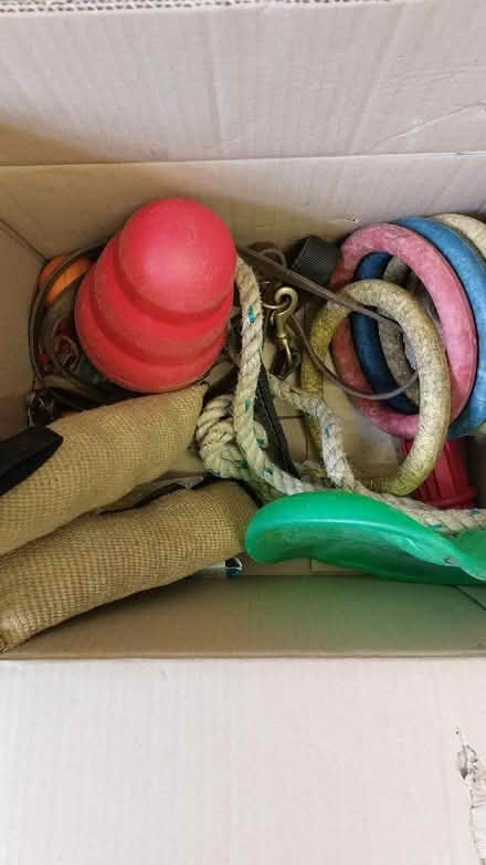 Photo of free Dog toys and accessories (Flitton MK45) #1