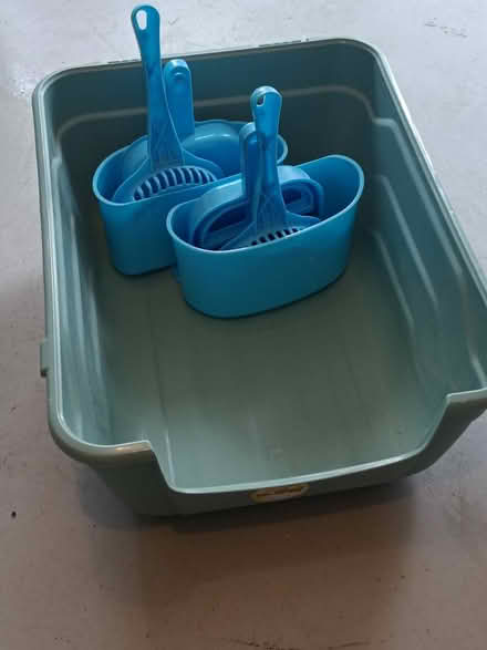 Photo of free Cat mats, litter tray and accessories (Deganwy LL30) #1