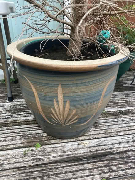 Photo of free Large planter (Willingdon BN22) #1