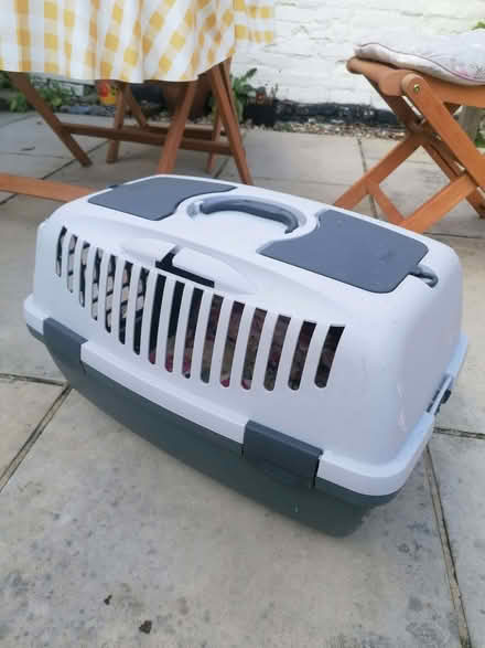 Photo of free Pet carrier (Stowmarket IP14) #1
