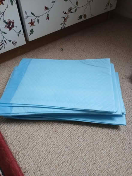 Photo of free Puppy training pads (Woodseats S8) #1