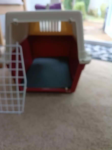 Photo of free Small pet carrier (Portishead BS20) #2