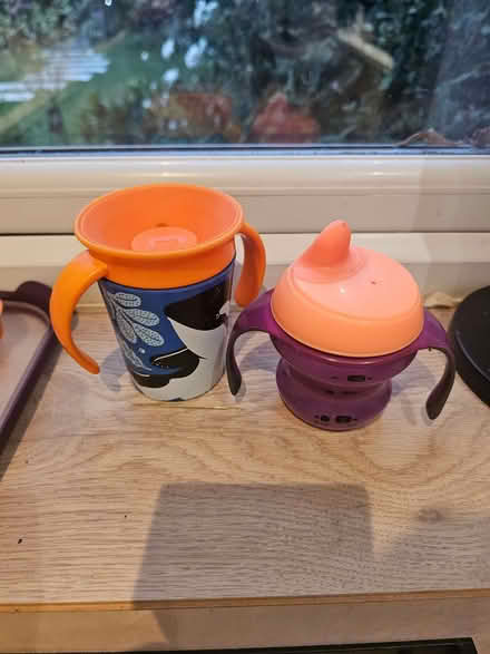 Photo of free Soppy cups + water bottle (Bromham MK43) #2