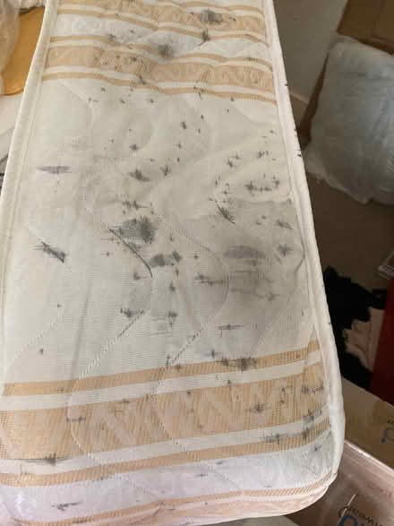 Photo of free Double mattress (Upper Clapton E5) #3
