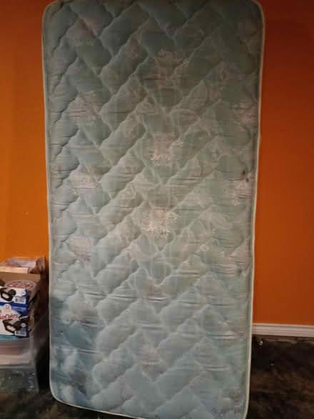 Photo of free Twin bed 1 mattress only (Atkins area) #1