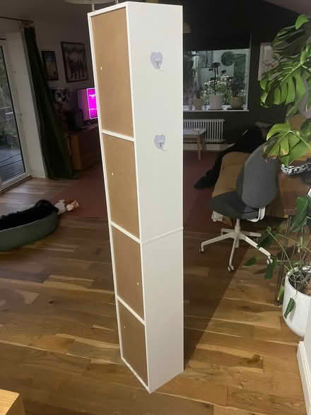 Photo of free Tall and narrow book shelf (Darley Abbey DE22) #3