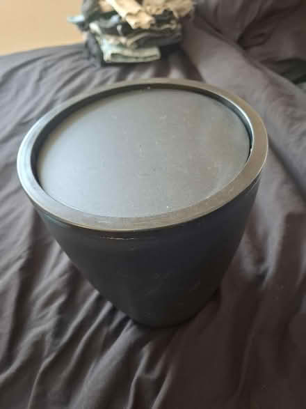 Photo of free Black bin with lid. Plastic. (Seaside BN22) #1
